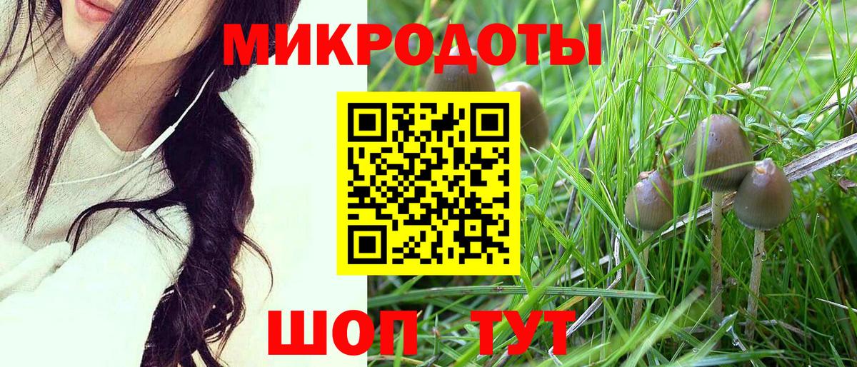 Галлюциногенные грибы мухоморы Дзержинск