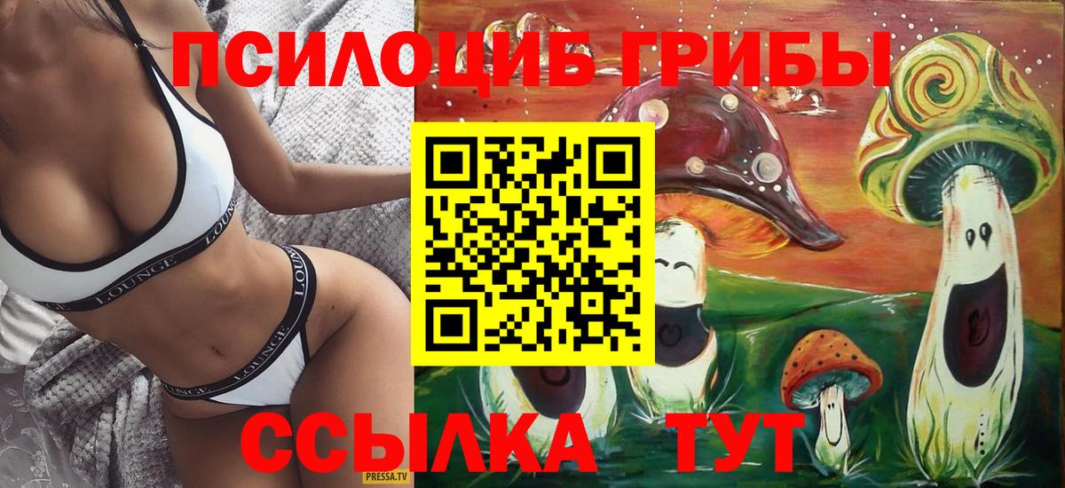 Псилоцибиновые грибы прущие грибы  где продают   Дзержинск  Вход с VPN 